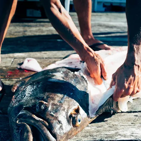 Kjerringoy Rorbusenter