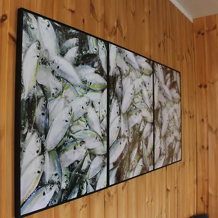 Kjerringoy Rorbusenter Ξενοδοχείο 3*